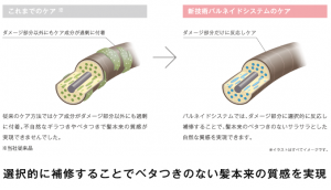 バルネイドシステム