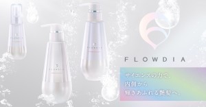 flowdia_concept_new